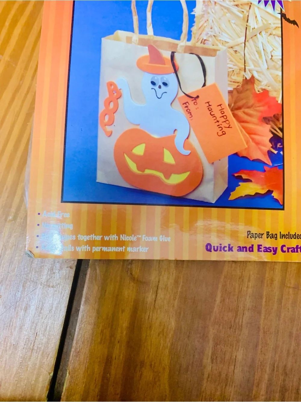 Orange Halloween Foam Bag Craft Kit